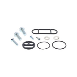 Kit reparación grifo de gasolina ALL BALLS