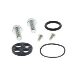 Kit reparación grifo de gasolina ALL BALLS