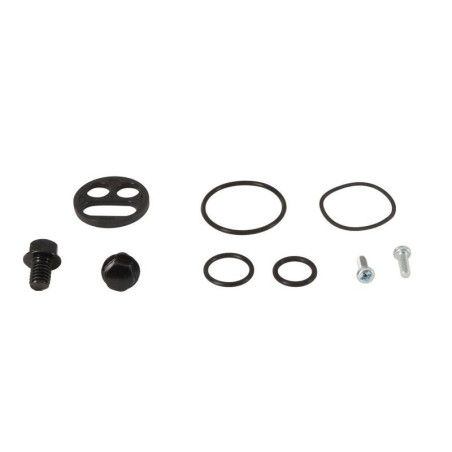 Kit reparación grifo de gasolina ALL BALLS