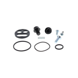 Kit reparación grifo de gasolina ALL BALLS