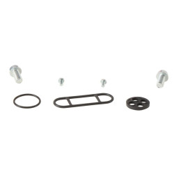 Kit reparación grifo de gasolina ALL BALLS