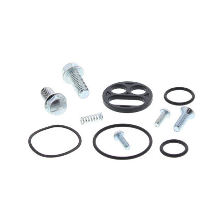 Kit reparación grifo de gasolina ALL BALLS