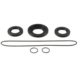Kit retenes de diferencial trasero ALL BALLS