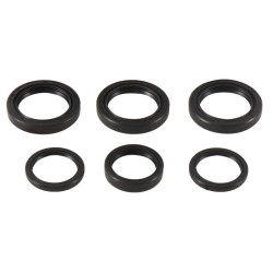 Kit retenes de diferencial delantero ALL BALLS
