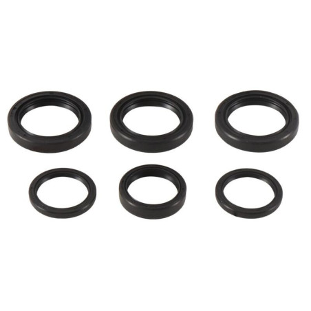 Kit retenes de diferencial delantero ALL BALLS