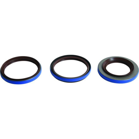 Kit retenes de diferencial trasero ALL BALLS