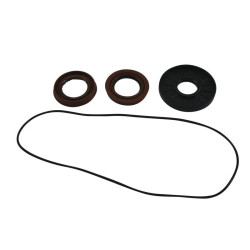 Kit retenes de diferencial trasero ALL BALLS