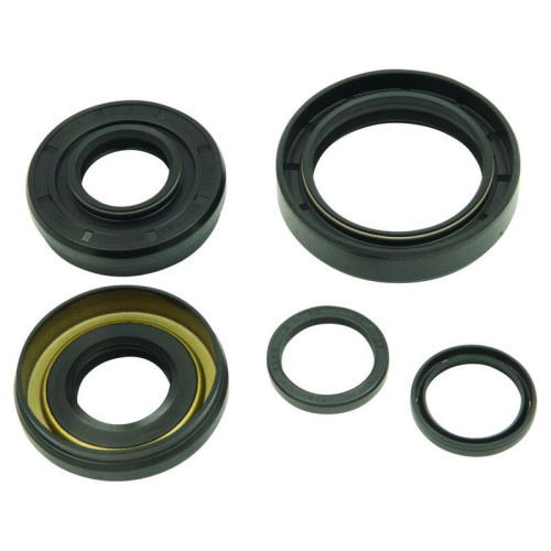 Kit retenes de diferencial delantero ALL BALLS