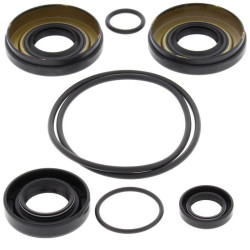 Kit retenes de diferencial trasero ALL BALLS