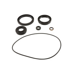 Kit retenes de diferencial delantero ALL BALLS