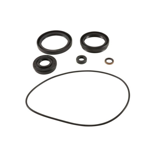 Kit retenes de diferencial delantero ALL BALLS