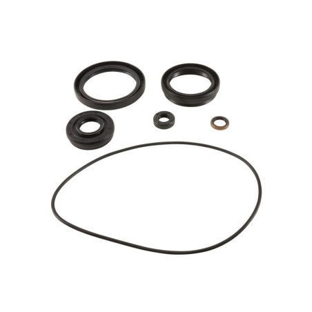 Kit retenes de diferencial delantero ALL BALLS