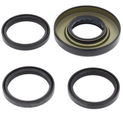 Kit retenes de diferencial trasero ALL BALLS