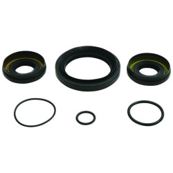 Kit retenes de diferencial delantero ALL BALLS