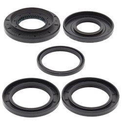 Kit retenes de diferencial trasero ALL BALLS
