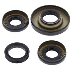 Kit retenes de diferencial delantero ALL BALLS