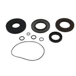 Kit retenes de transeje ALL BALLS