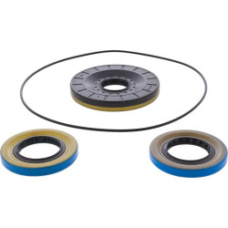 Kit retenes de diferencial trasero ALL BALLS