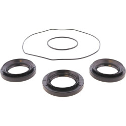 Kit retenes de diferencial trasero ALL BALLS
