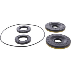 Kit retenes de diferencial trasero ALL BALLS