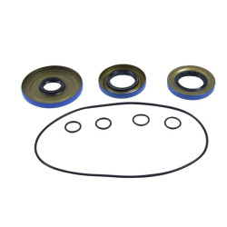 Kit retenes de diferencial delantero ALL BALLS