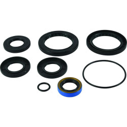 Kit retenes de transeje ALL BALLS