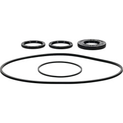 Kit retenes de diferencial delantero ALL BALLS
