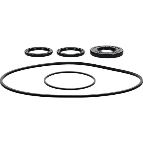Kit retenes de diferencial delantero ALL BALLS