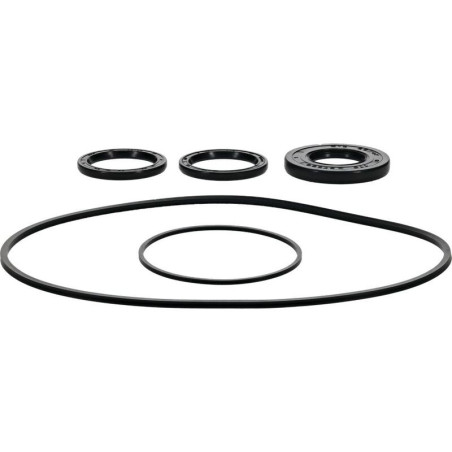 Kit retenes de diferencial delantero ALL BALLS