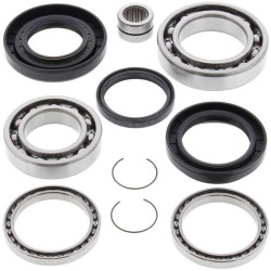 Kit rodamientos y retenes de diferencial trasero ALL BALLS