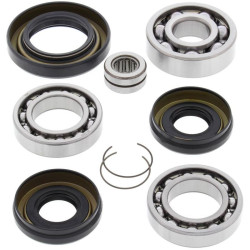 Kit rodamientos y retenes de diferencial delantero ALL BALLS