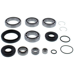 Kit rodamientos y retenes de diferencial delantero ALL BALLS