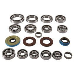 Kit rodamientos y retenes de transeje ALL BALLS