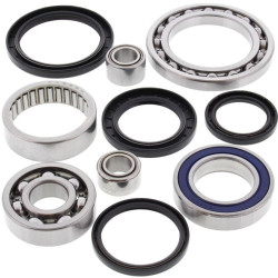 Kit rodamientos y retenes de diferencial trasero ALL BALLS