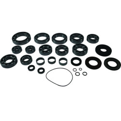 Kit rodamientos y retenes de transeje ALL BALLS
