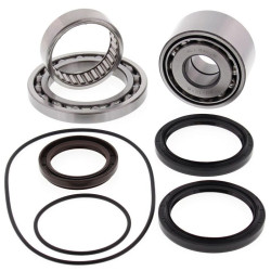 Kit rodamientos y retenes de diferencial trasero ALL BALLS
