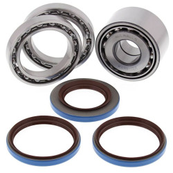 Kit rodamientos y retenes de diferencial trasero ALL BALLS