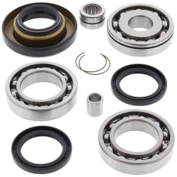 Kit rodamientos y retenes de diferencial trasero ALL BALLS