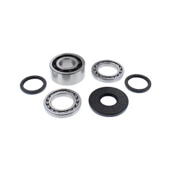 Kit rodamientos y retenes de diferencial delantero ALL BALLS