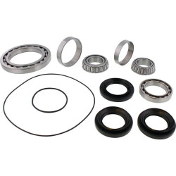 Kit rodamientos y retenes de diferencial trasero ALL BALLS