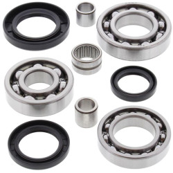 Kit rodamientos y retenes de diferencial trasero ALL BALLS