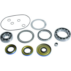 Kit rodamientos y retenes de diferencial delantero ALL BALLS