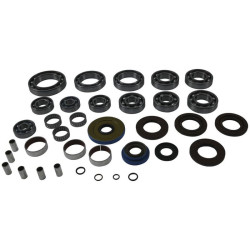 Kit rodamientos y retenes de transeje ALL BALLS