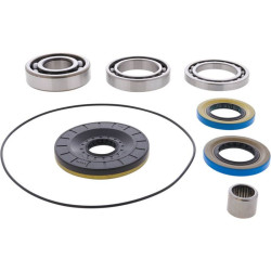 Kit rodamientos y retenes de diferencial trasero ALL BALLS