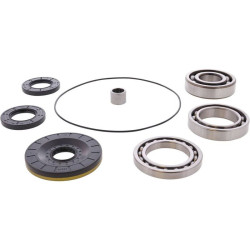 Kit rodamientos y retenes de diferencial trasero ALL BALLS