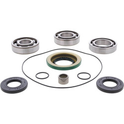 Kit rodamientos y retenes de diferencial delantero ALL BALLS