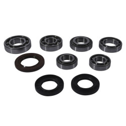 Kit rodamientos y retenes de diferencial trasero ALL BALLS