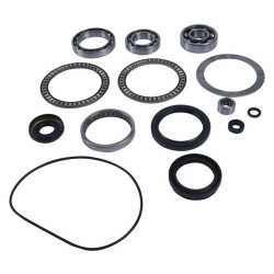 Kit rodamientos y retenes de diferencial delantero ALL BALLS