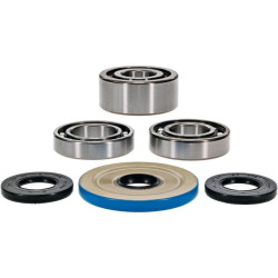 Kit rodamientos y retenes de diferencial delantero ALL BALLS