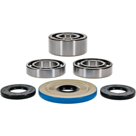 Kit rodamientos y retenes de diferencial delantero ALL BALLS